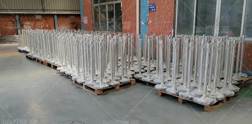 【MAX】&南非運(yùn)動(dòng)會(huì)